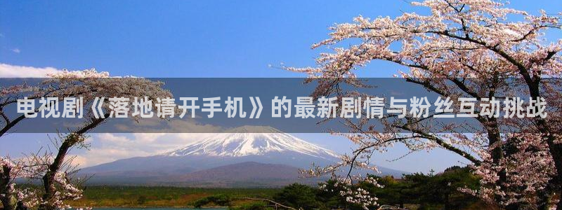 电视剧《落地请开手机》的最新剧情与粉丝互动挑战